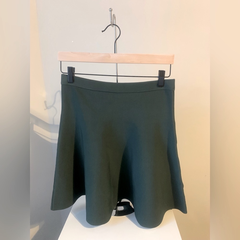 PARKERS Sage Green A Line Skirt Size M